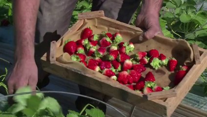 Gaza struggles to recover after brutal winter storm