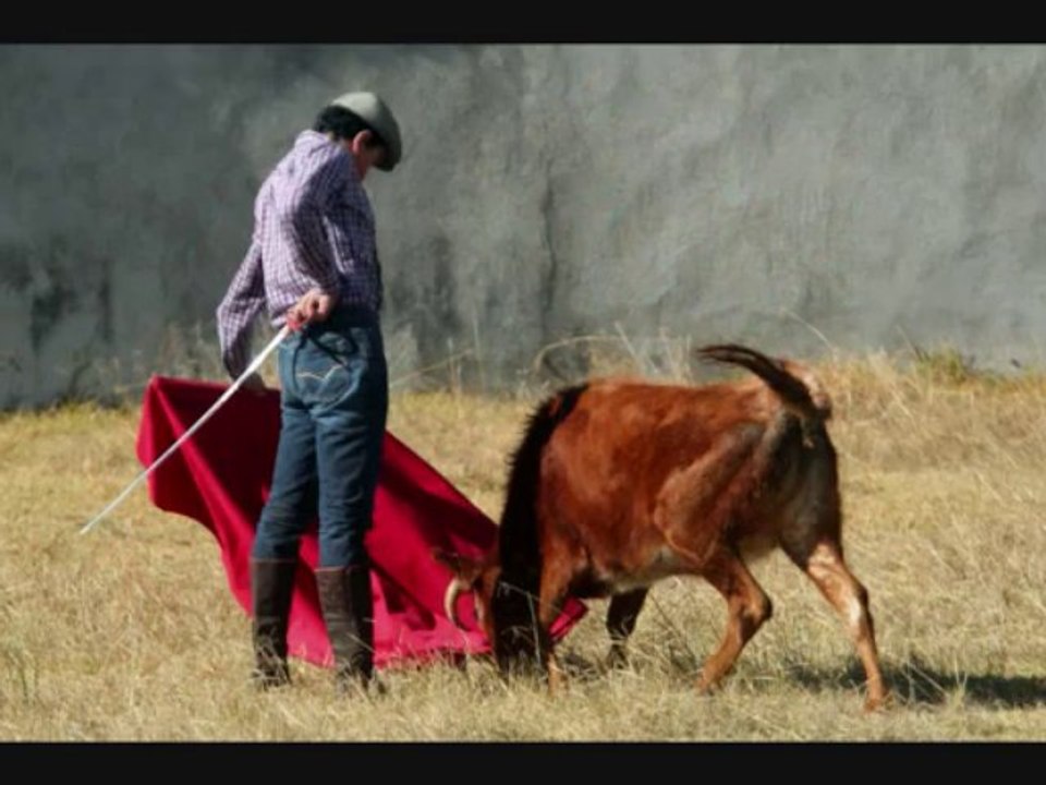 Gallo y Arriaga