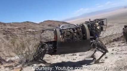 Google's romping robot adventure