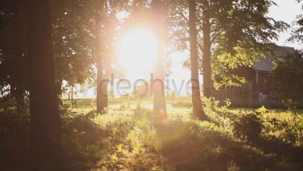 Photo Frames - After Effects Template