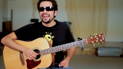 Guitar Duet - Joe Penna