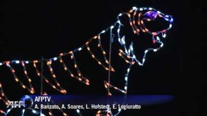 Zoológico de Washington ilumina sus fieras
