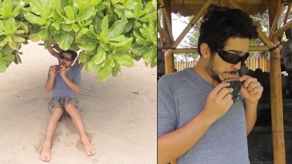 Bali Instruments - Joe Penna