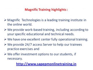 SAP Bibw online training-magnific