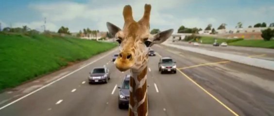 Felekten Bir Gece 3/The Hangover Part 3 (2013) Fragman