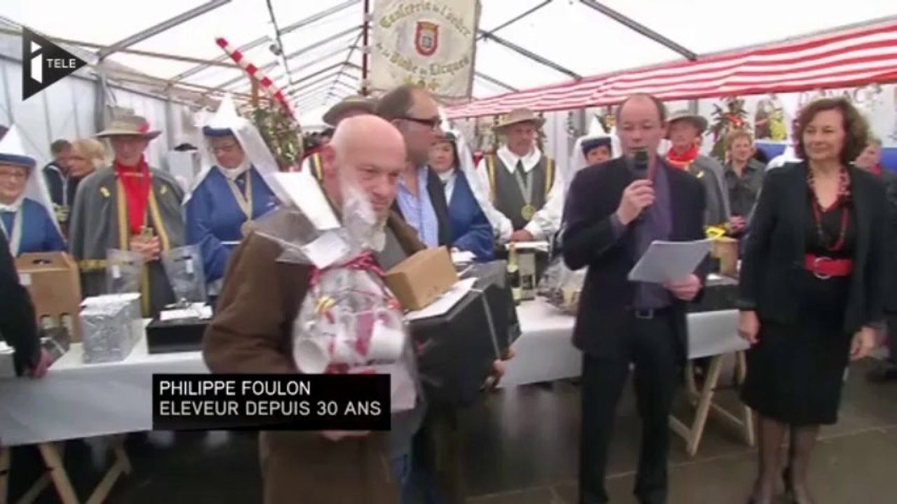 Qui sera la plus belle ?