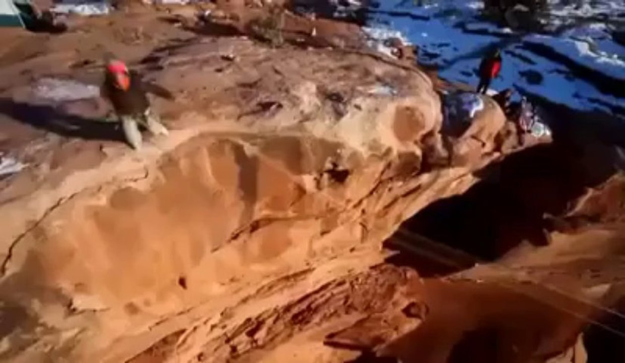 I Am Speechless Amaizing