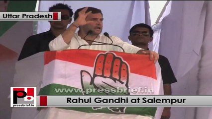 Rahul Gandhi : Congress will form government in UP in 2014