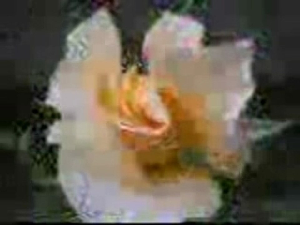 reveries 2BIS