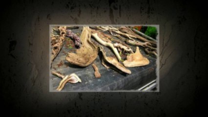 Puricatione Driftwood Table Lamp Home Decor