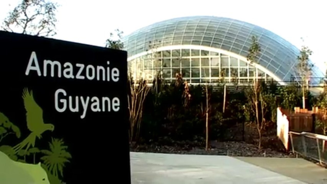 Inauguration en avant première de la grande serre du nouveau Zoo de Vincennes Paris avec Thomas Grenon