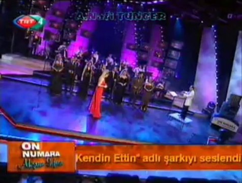 Ayşe EKİZ-Bir Gülü Sevdim Bir Seni Sevdim