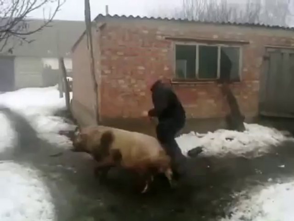 Rodeo po Rosyjsku