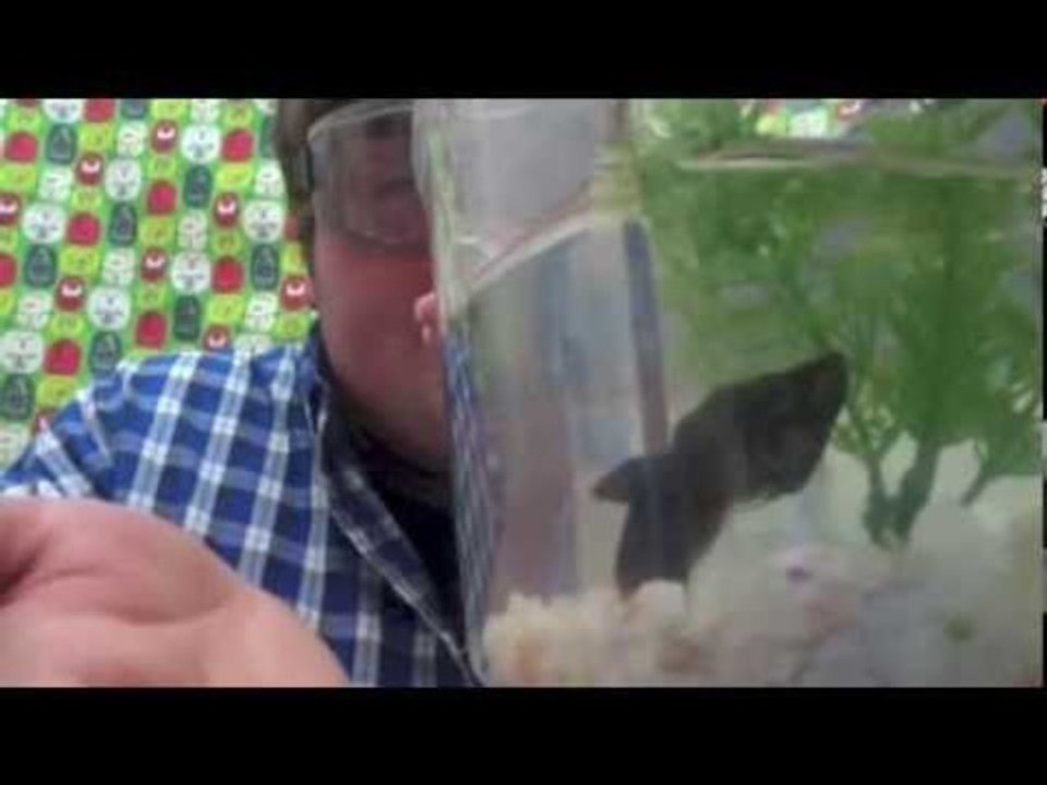 Students Bag Extra Credits for Organic Chemistry Video