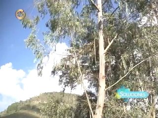 "Planificación del manejo del agua debe incluir a todos los sectores del país"