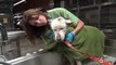 Sick, Homeless Dog Living In Trash Gets Rescued, Then She Helps Rescue Another Traumatized Dog
