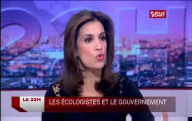 Le député européen Yannick Jadot « sûr de gagner » contre le projet d’aéroport de Notre-Dame des Landes