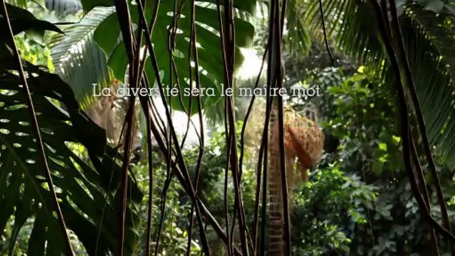 Grandes Serres du Jardin des Plantes