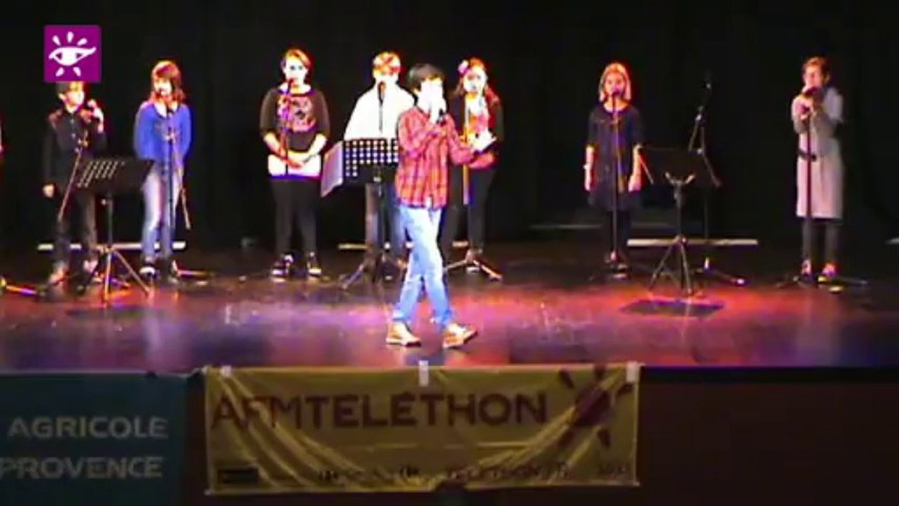 Téléthon 2013 : Show des associations à Graveson (13)