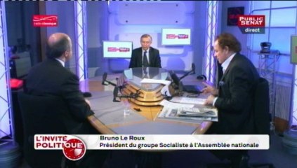 Mariage pour tous : «L’UMP s’est laissée avoir par la frange Tea Party», dénonce Le Roux