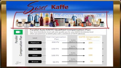 Direct Sales Companies Part 4