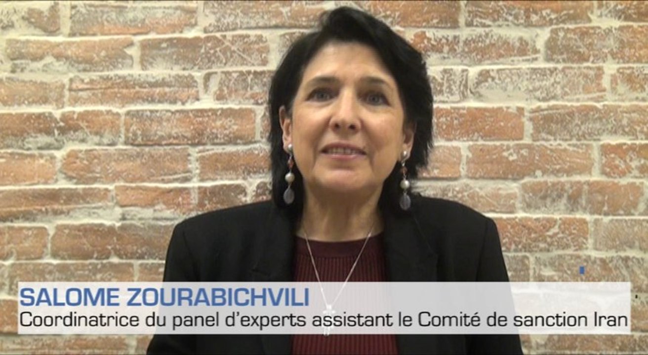 Les régimes de sanction et les embargos sur les armes des Nations Unies : quel fonctionnement ?