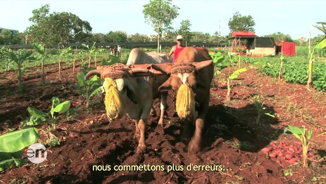 Culture en transition