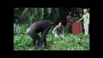 Chimpanzé comove o mundo ao abraçar mulher que a salvou