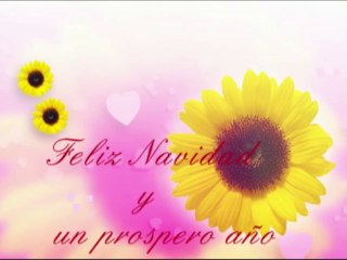 CAPSULA DIF MUNICIPAL ATOTONILCO   "FELIZ NAVIDAD Y PROSPERO AÑO NUEVO"