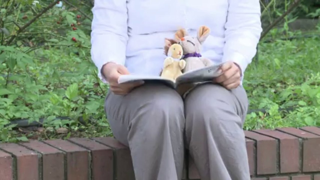 Teddy auf tour: das reisebüro der kuscheltiere