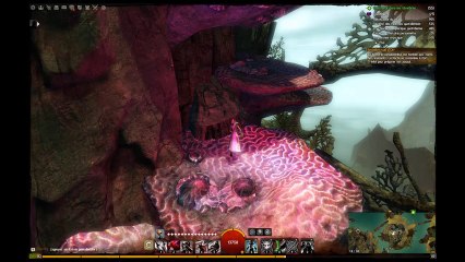 GW2 - Puzzle Jump - La tour du vizir