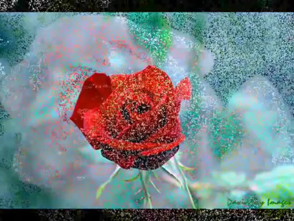 Ahmet Özhan - Gülü susuz seni aşksız bırakmam