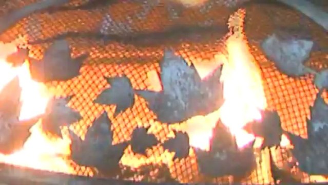 NEWS REPORT: Best Camping RV Southern California