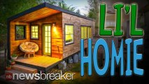 TINY HOUSE: Woman Builds $11,000 Dream Home in just 196 Square Feet