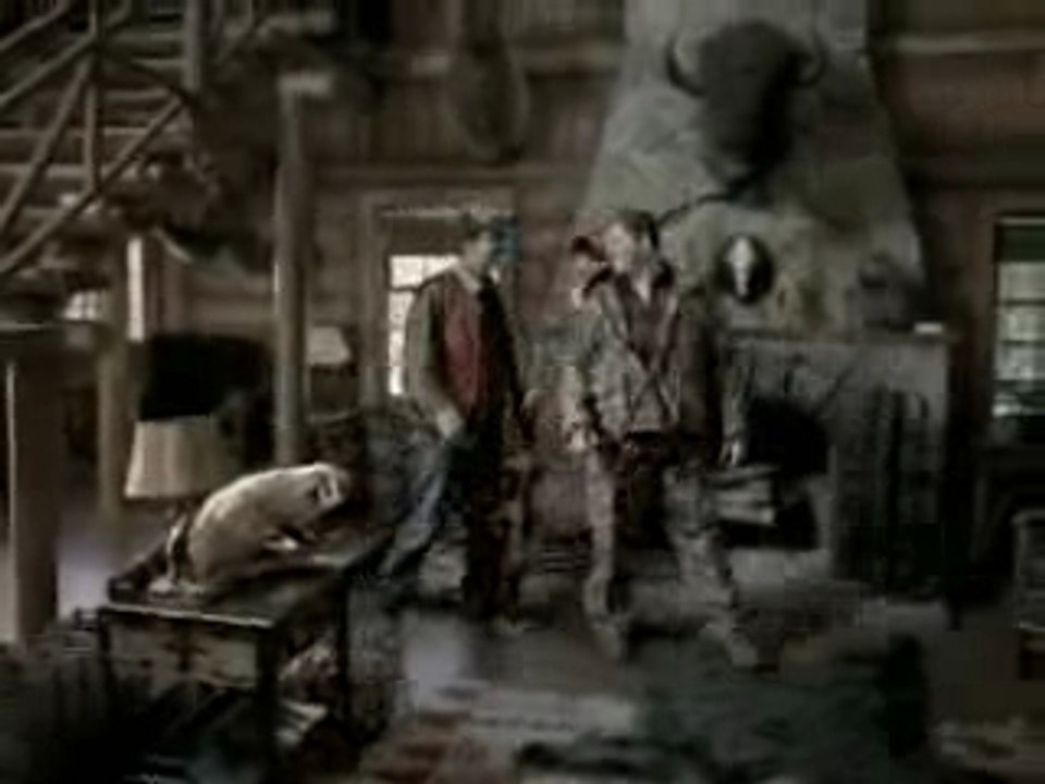 Publicité pour une bière