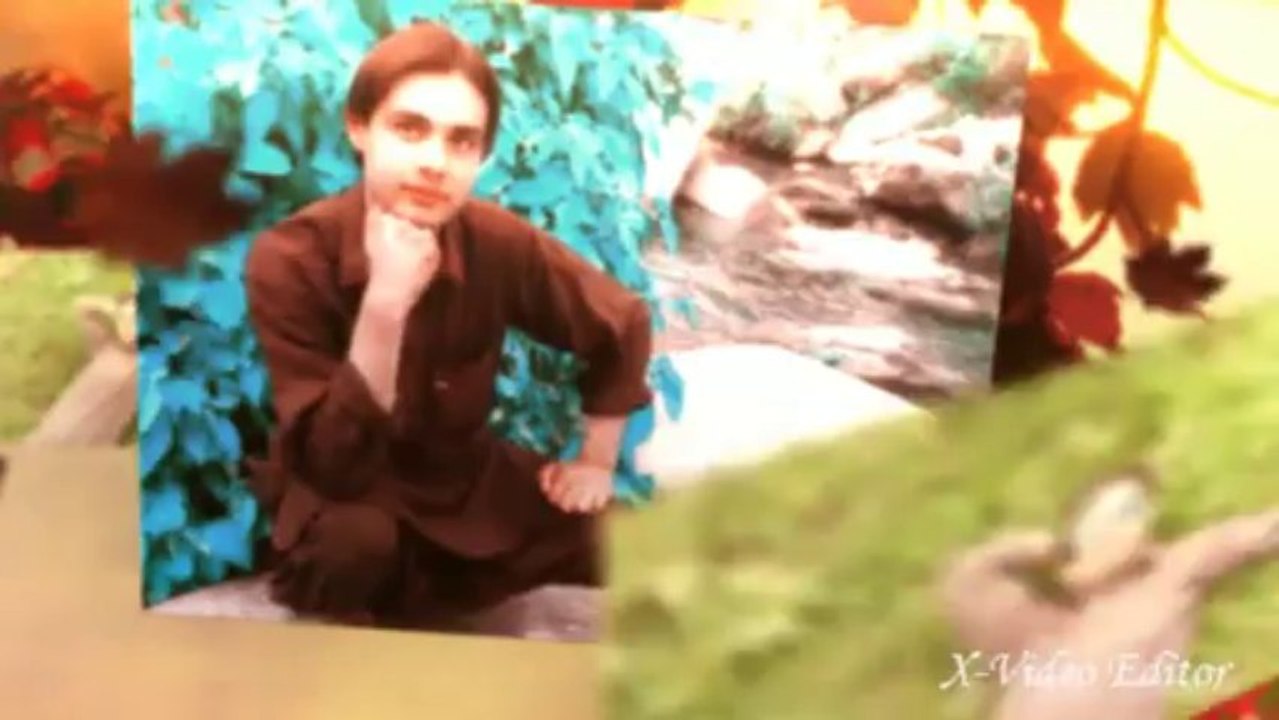 buneri SOHAIL RAJA