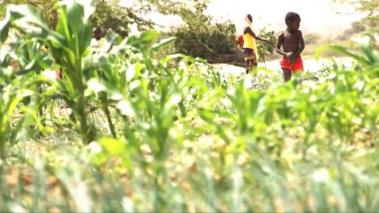 L'Excision, une lutte au quotidien