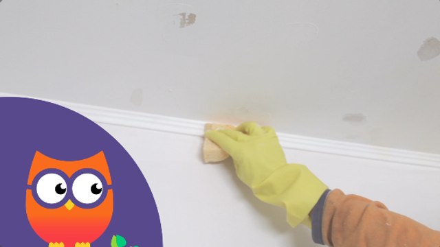 Comment nettoyer des moulures au plafond (Ooreka.fr)