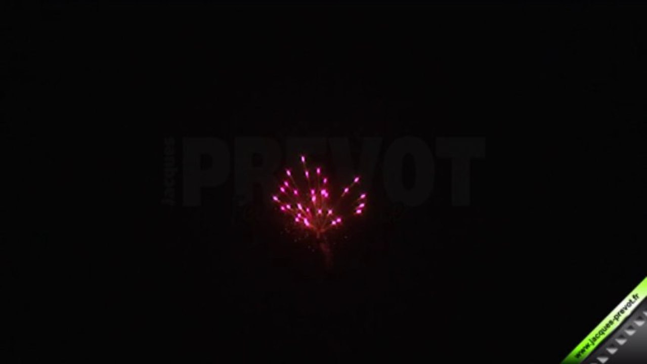 Compact 20 tirs Pourpre Crackling