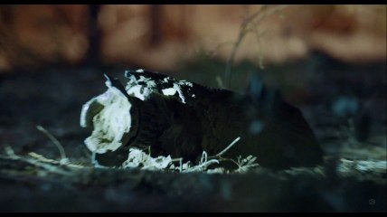 Earth to Echo - Trailer for Earth to Echo