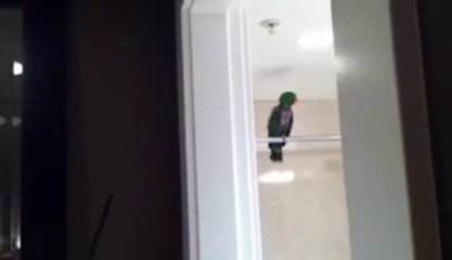 헬로우카지노 ▶•◀http://polo416.com/▶•◀헬로우카지노