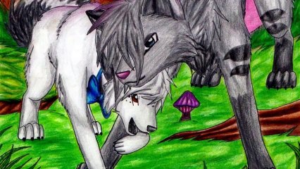 Kash PMV - contest entries