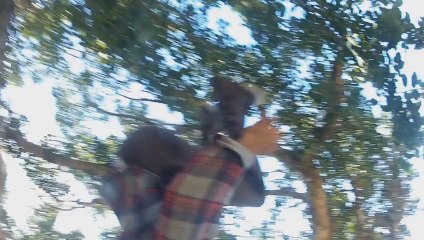 פארקור ישראלי - הרכב הפארקור הישראלי