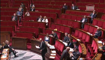 DÉCLARATION DU GOUVERNEMENT SUR LE LIVRE BLANC SUR LA DÉFENSE ET LA SÉCURITÉ NATIONALE ET DÉBAT SUR CETTE DÉCLARATION - Mercredi 29 Mai 2013