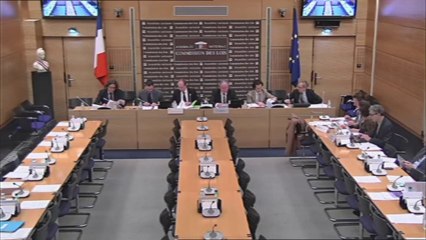 Projet de simplification et sécurisation de la vie des entreprises (deuxième lecture) - Mardi 17 Décembre 2013