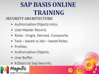 sap basis online training