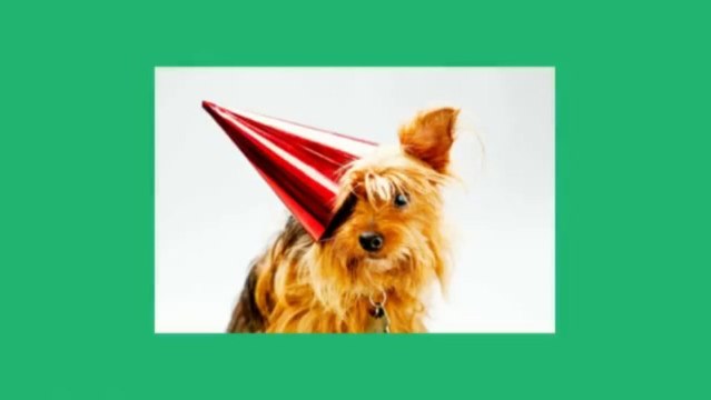 Happy Holidays from ErnieCakes! Dog Birthday cakes. Cupcakes for dogs: (651) 560-6564