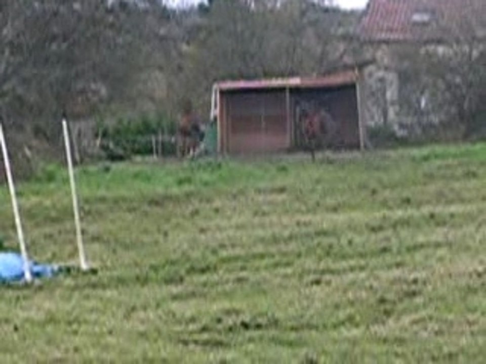DSCN5662