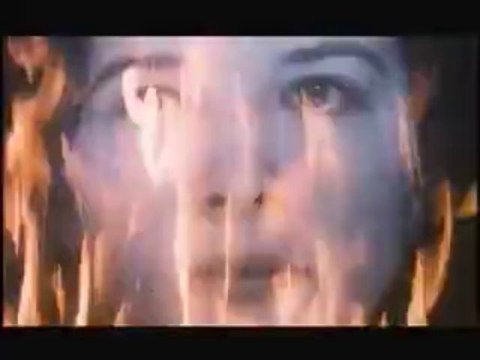 Les Amants Du Pont-neuf