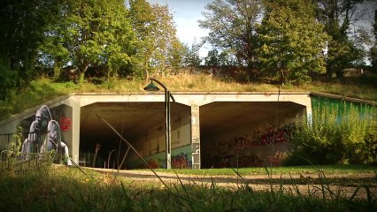 Pont de l'Yvette : le royaume de P19